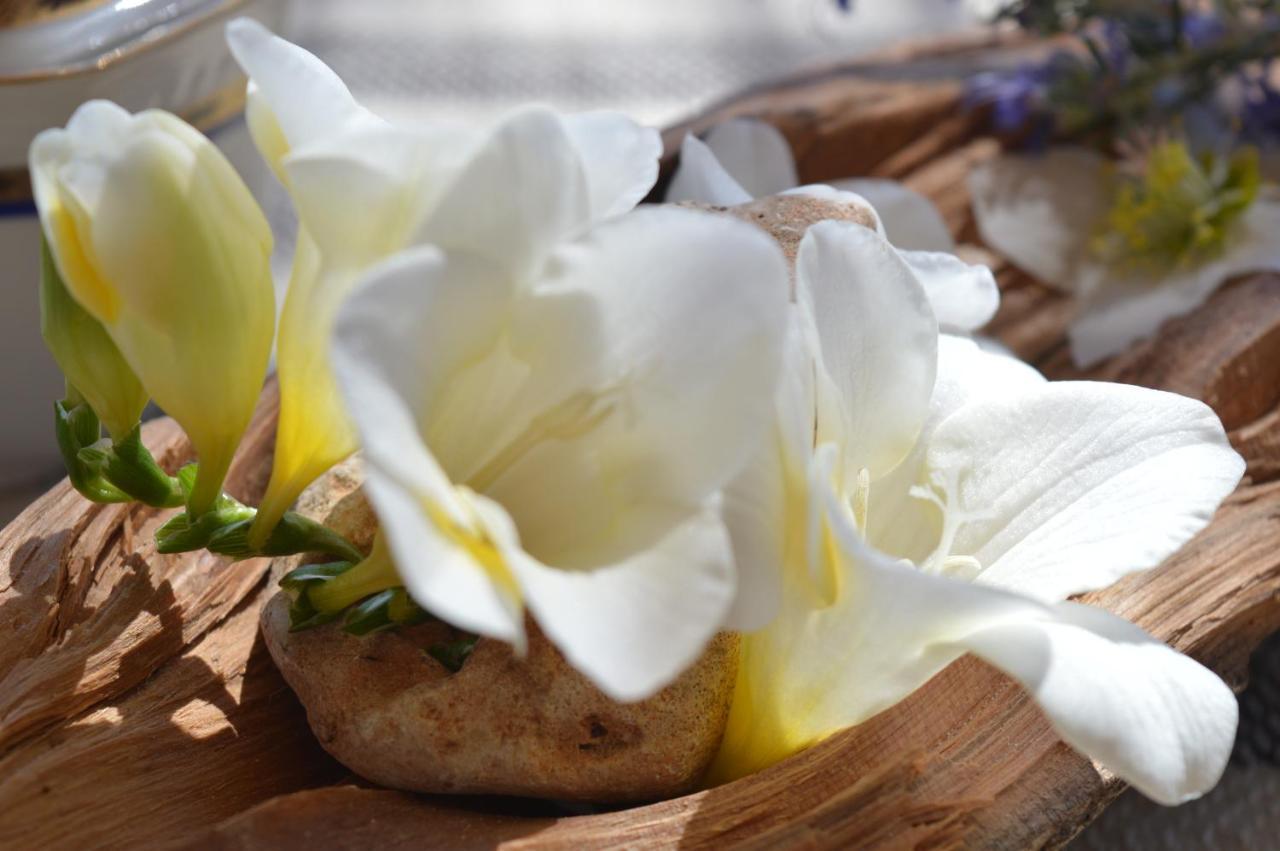 B&B Su Biancu - Sardinian Experience Urzulei ภายนอก รูปภาพ